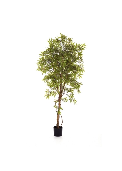 Acero Japanese - 210Cm