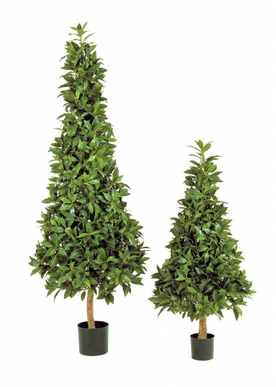 Laurel Pyramide De Luxe - 170Cm