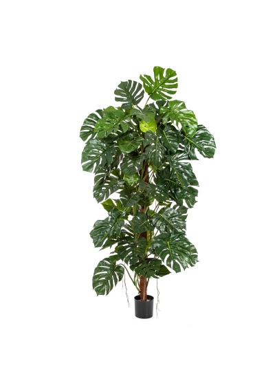 Split Philo On Pole - 160Cm