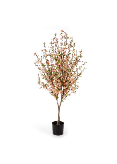 Cherry Blossom 170 Cm