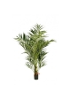 Kentia Natural Palm De L - 486Cm Fire Resistant