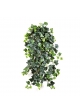 Edera Sospesa Cespuglio - 331Cm Fire Resistant