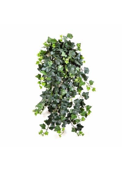 Edera Sospesa Cespuglio - 331Cm Fire Resistant