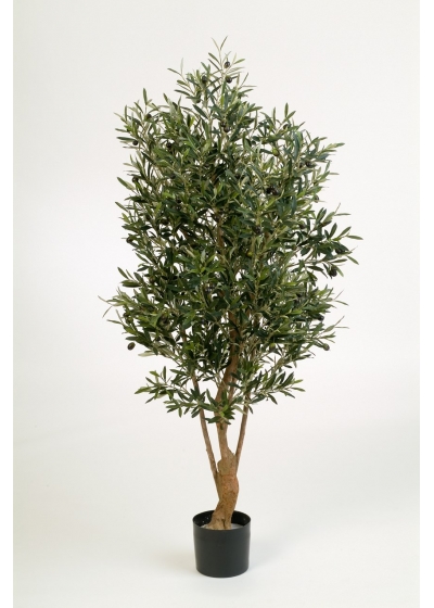 Olivo Nat,Twisted Tre - 4160Cm Fire Resistant