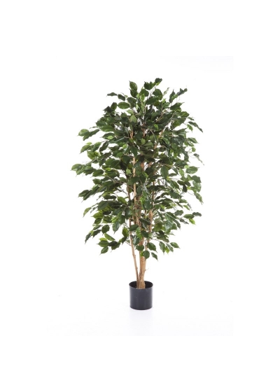 Ficus Exotica - 180Cm Fire Resistant