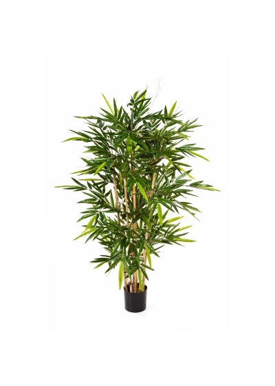Bambù New Tree - 1216Cm Fire Resistant