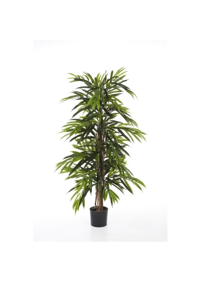 Longifolia Deluxe Tre - 746Cm Fire Resistant