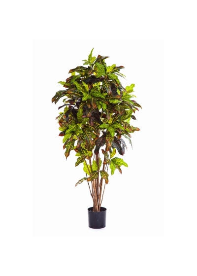 Croton Tree - 388Cm Fire Resistant