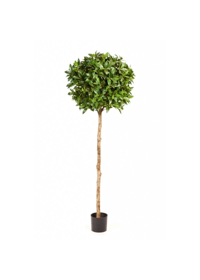 Laurel Ball Tree De L - 1036Cm Fire Resistant