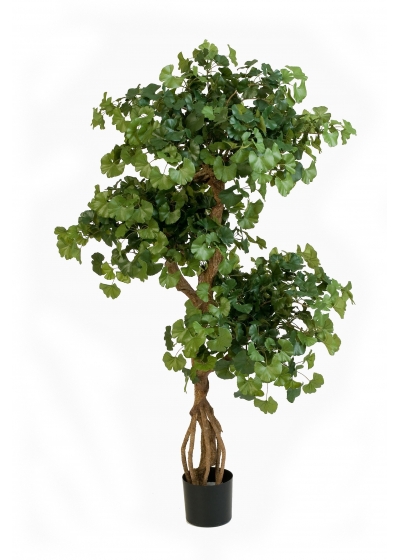 Gingko Sweet On Crazy - 1092Cm Fire Resistant
