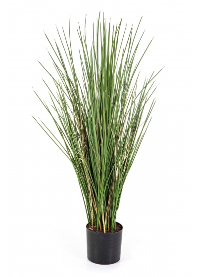 Honey Erba 80 Cm W/ Fire Resistant