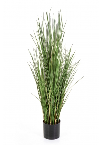 Honey Erba 120 Cm W Fire Resistant