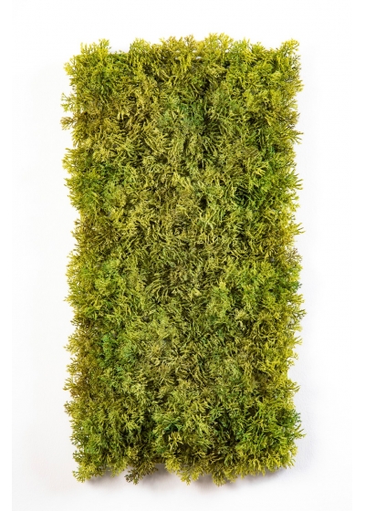 Moss Carpet 25X50 Mixed Fire Resistant