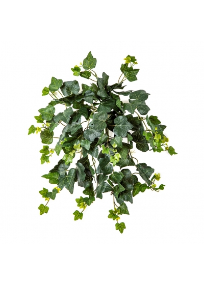 Edera Sospesa Cespuglio X 133 - 48Cm Uv Resistente
