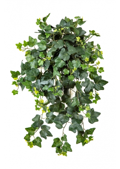 Edera Sospesa Cespuglio X 262 - 65Cm Uv Resistente