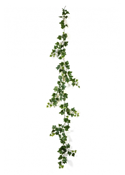 Edera Variegata Garland X 148 - 205Cm Uv Resistente