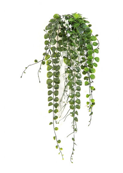 Dichondra Sospesa B, Crema- 58Cm Uv Resistente