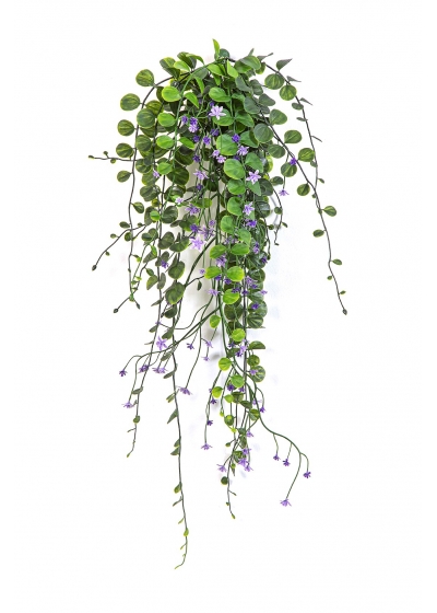 Dichondra Sospesa B, Purple - 58Cm Uv Resistente