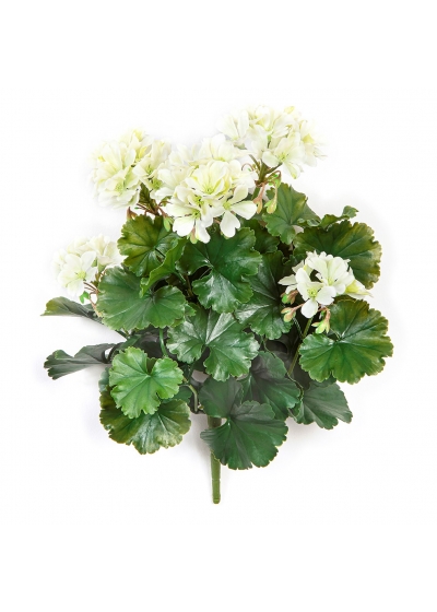 Geranio Cespuglio Crema - 39Cm Uv Resistente