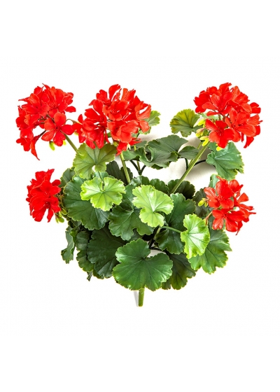 Geranio Cespuglio Rosso - 39Cm Uv Resistente