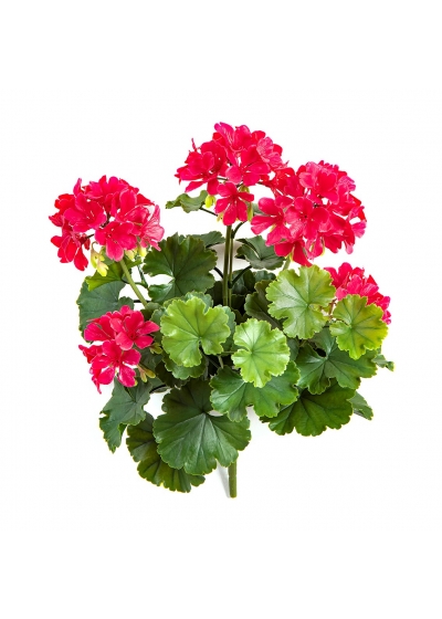 Geranio Cespuglio Violet - 39Cm Uv Resistente