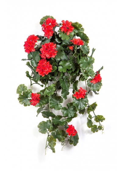 Geranio Sospesa Cespuglio Rosso-U - 66Cm Uv Resistente