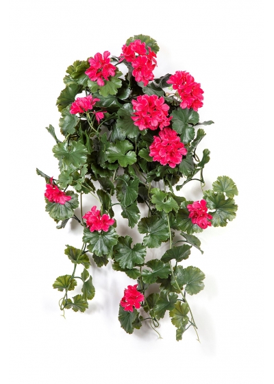 Geranio Sospesa B, Violet- 66Cm Uv Resistente