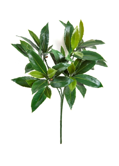 Laurel Spray X 55 Lvs - 51Cm Uv Resistente