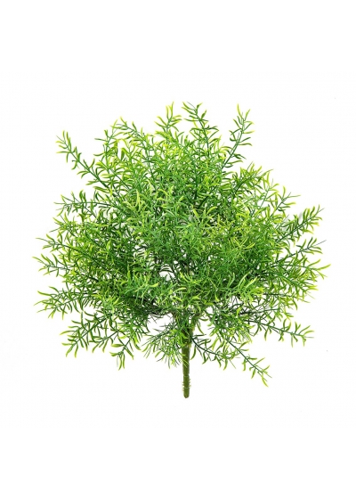 Asparagus Cespuglio - 38Cm Uv Resistente