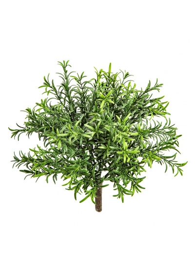 Rosemary Cespuglio - 32Cm Uv Resistente