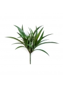 Liriope Erba Bunch - 40Cm Uv Resistente