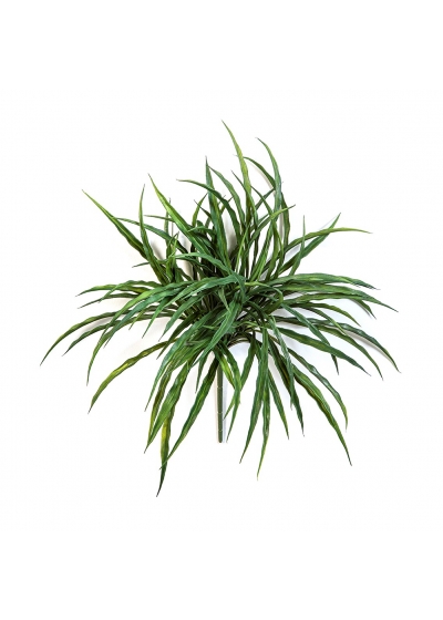 Woodrush Erba Bunch - 36Cm Uv Resistente