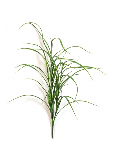 Northwind Erba Bunch - 80Cm Uv Resistente
