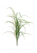 Northwind Erba Bunch - 80Cm Uv Resistente