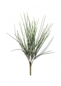 Canyon Erba Bunch - 54Cm Uv Resistente