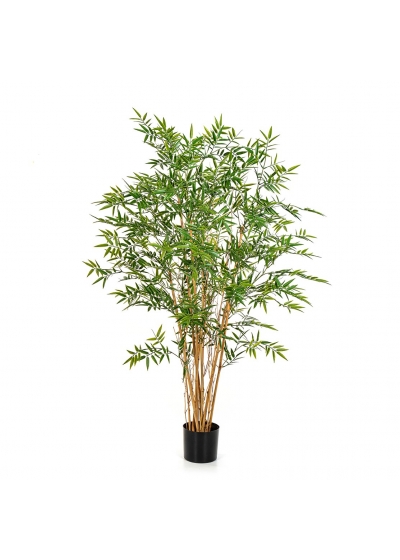 Bambù Japanese - 150Cm Uv Resistente