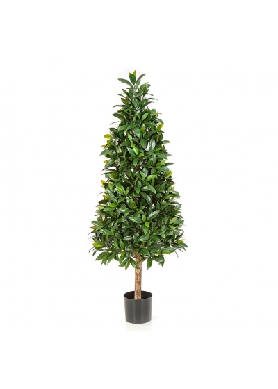 Laurel Tree - 140Cm Uv Resistente