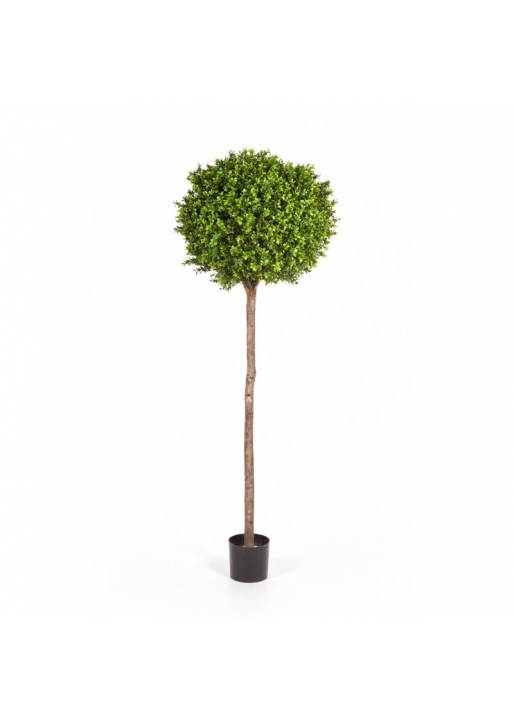 Bosso Ball Tree - 140Cm