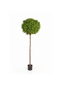 Bosso Ball Tree - 140Cm