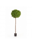 Bosso Ball Tree - 140Cm