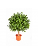 Bosso Ball - 30Cm