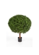 Bosso Ball - 120Cm