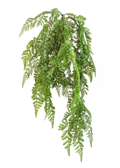 Felce Wood Sospesa Cespuglio - 60Cm