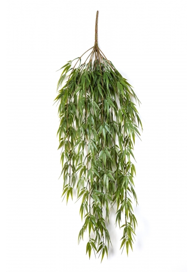 Bambù Sospesa Cespuglio 85 Cm - 85Cm