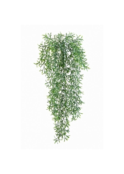 Wild Springeri Sospesa Cespuglio - 70Cm