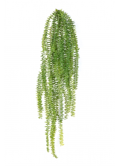 TasselFelce Sospesa Cespuglio - 70Cm