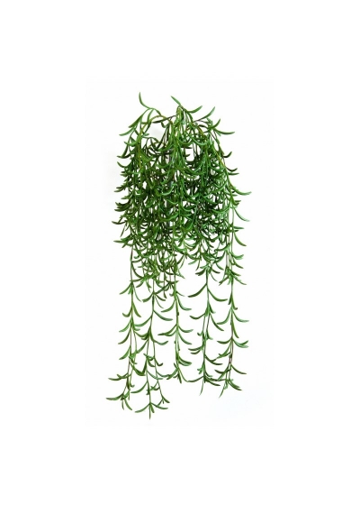 Succulent Sospesa Cespuglio - 45Cm