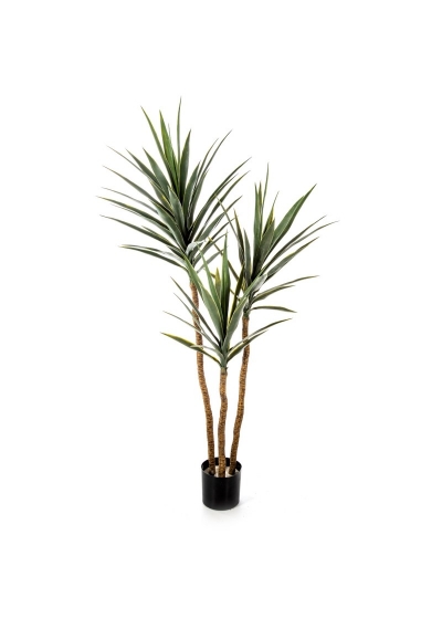 Yucca Tree De Luxe X 3 - 160Cm