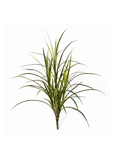 Erba Natural Rosso Bunch 80 - 80Cm