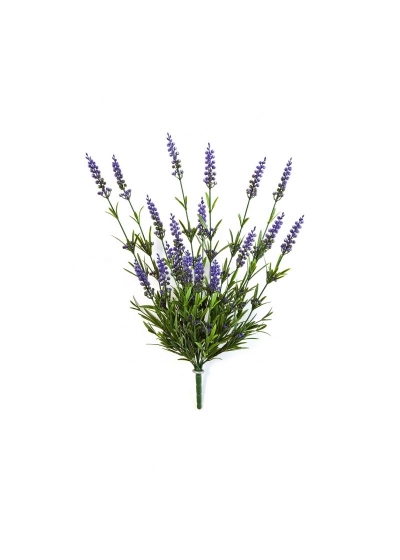 Lavanda Cespuglio X 19 - Purple - 52Cm